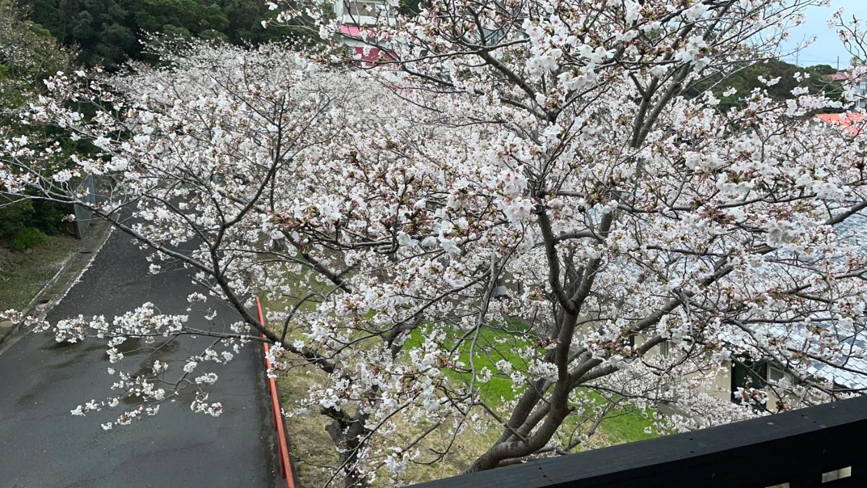 Shirahama Meiji Villa Екстериор снимка